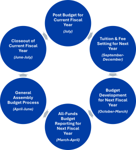 Budget and Finance Budget Cycle Graphic