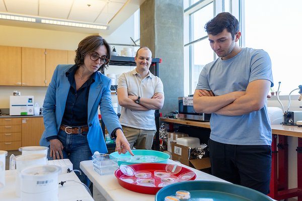 Beyond the Lab: UNC Asheville Biology Students Turn Hands-On Research into Career-Ready Opportunities